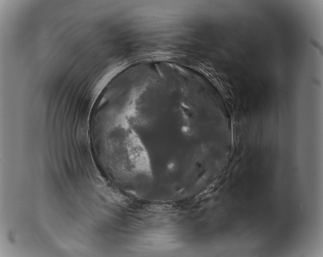 X0000099420147200805231637