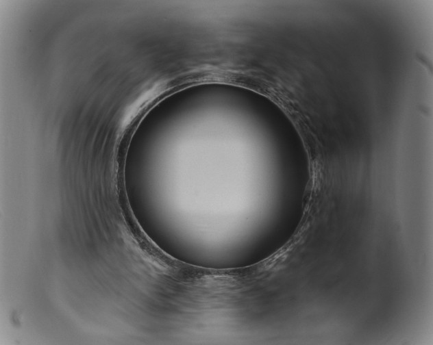 X0000099420150200805231637