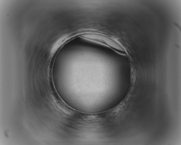 X0000099420151200805231637