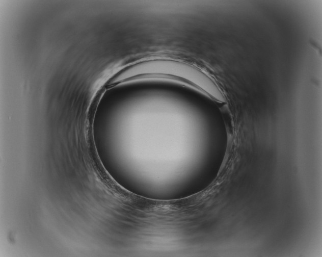X0000099420152200805231637