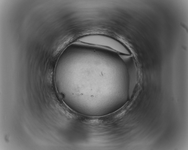 X0000099420153200805231637