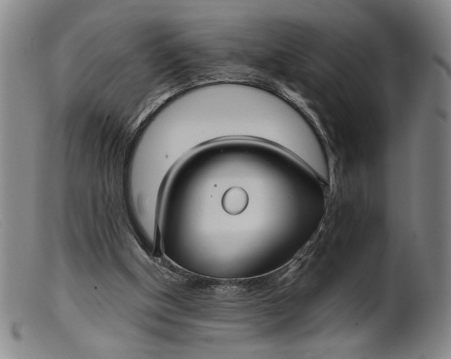 X0000099420154200805231637