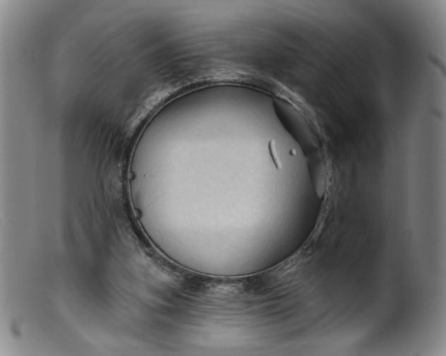 X0000099420155200805231637