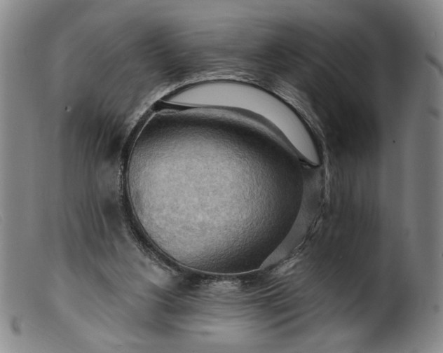X0000099420156200805231637