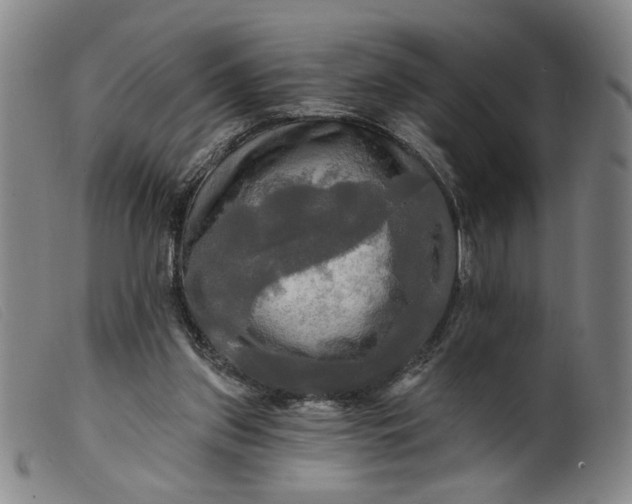 X0000099420157200805231637