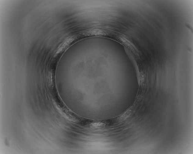 X0000099420158200805231637