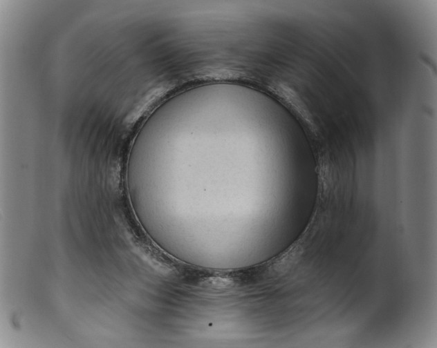X0000099420159200805231637