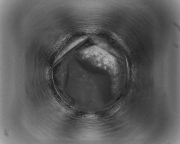 X0000099420161200805231637