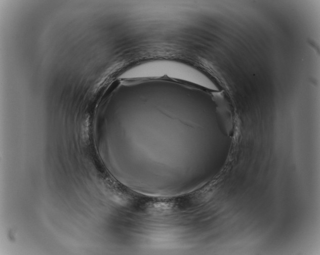 X0000099420163200805231637