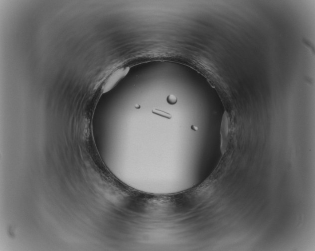 X0000099420164200805231637