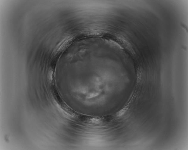 X0000099420166200805231637