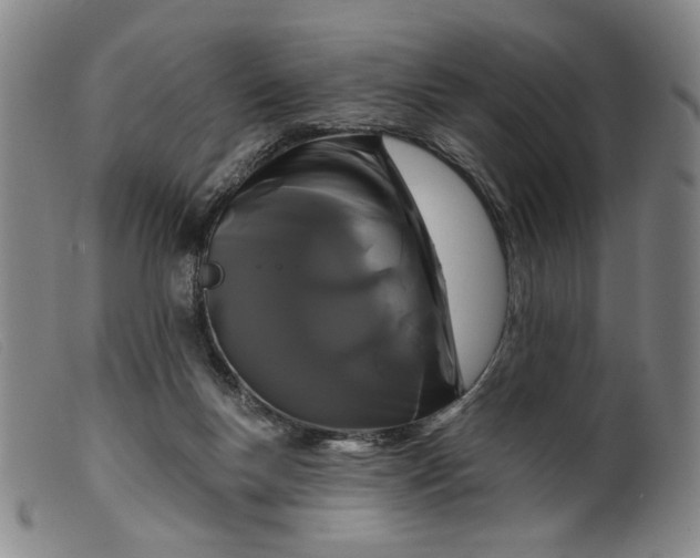 X0000099420167200805231637