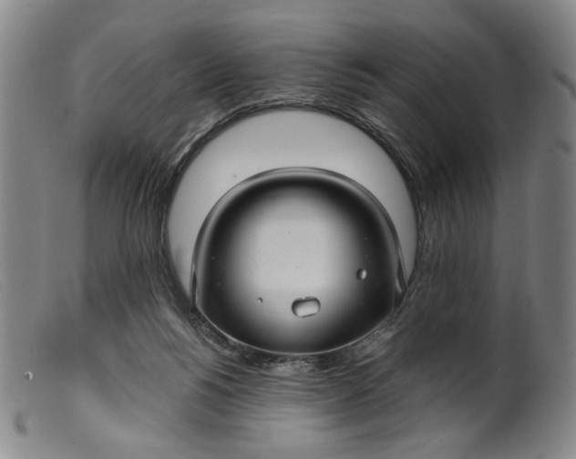 X0000099420168200805231637