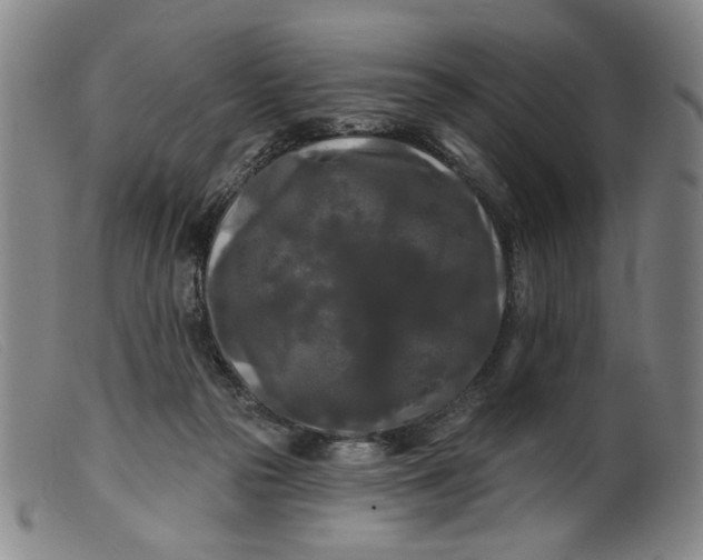 X0000099420169200805231638