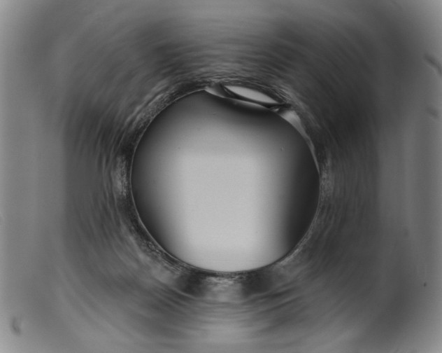 X0000099420170200805231638