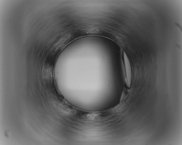 X0000099420172200805231638