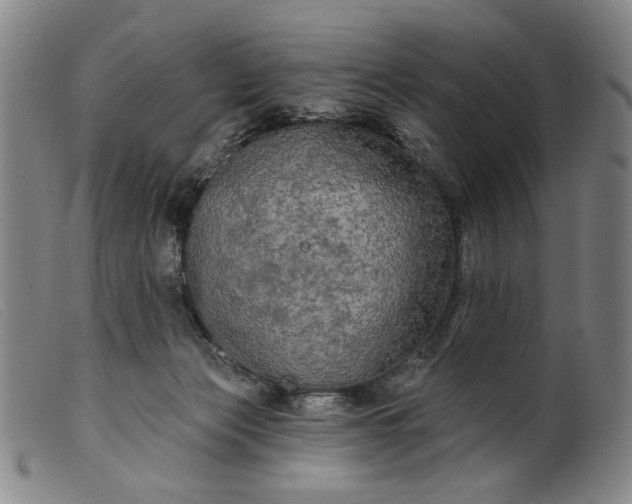 X0000099420173200805231638