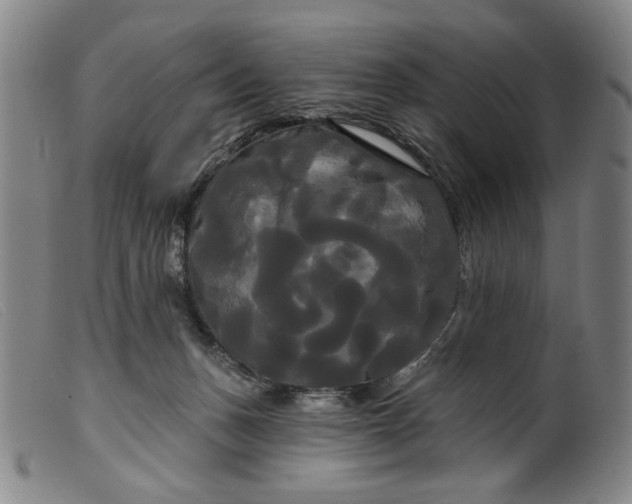 X0000099420175200805231638