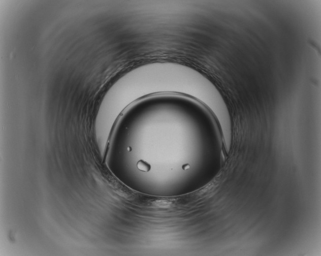 X0000099420176200805231638