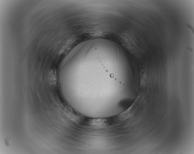 X0000099420179200805231638