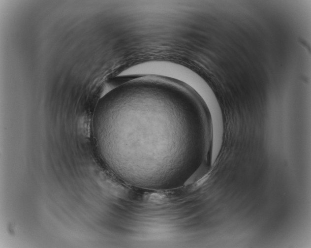 X0000099420180200805231638