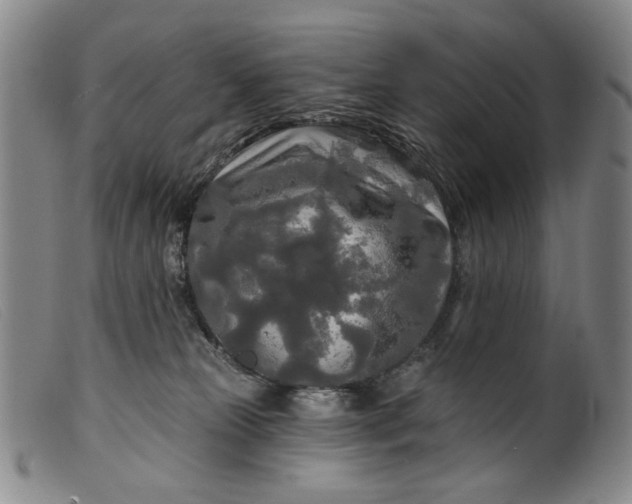 X0000099420181200805231638