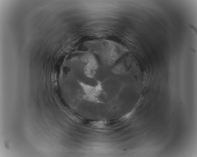 X0000099420182200805231638
