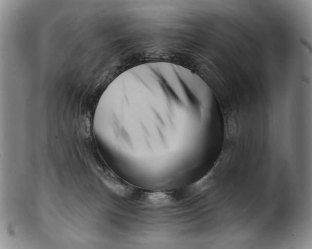 X0000099420183200805231638