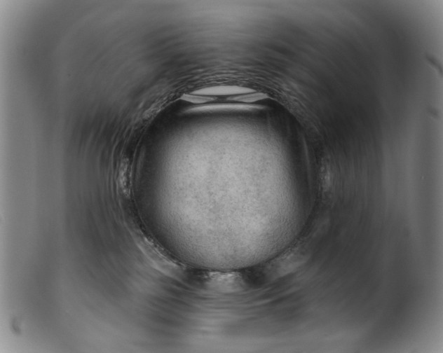 X0000099420185200805231638