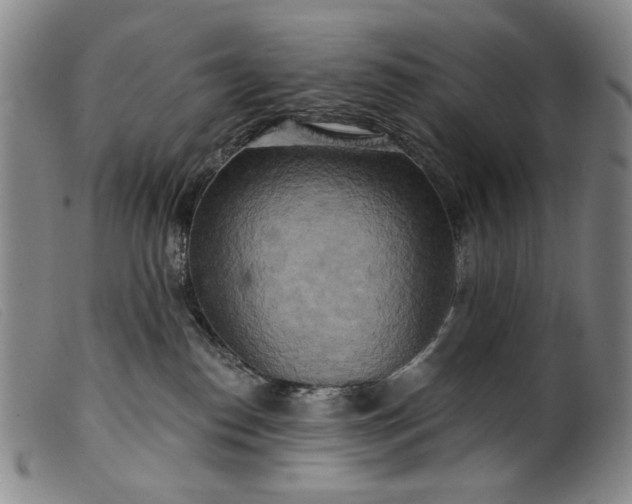 X0000099420186200805231638