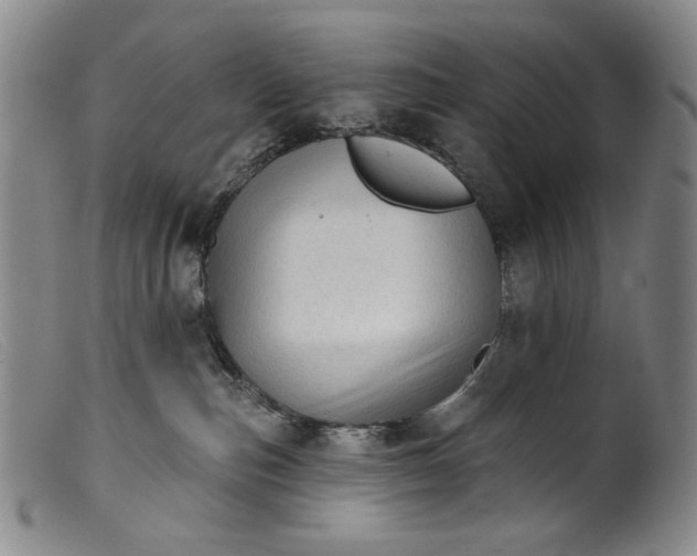 X0000099420187200805231638