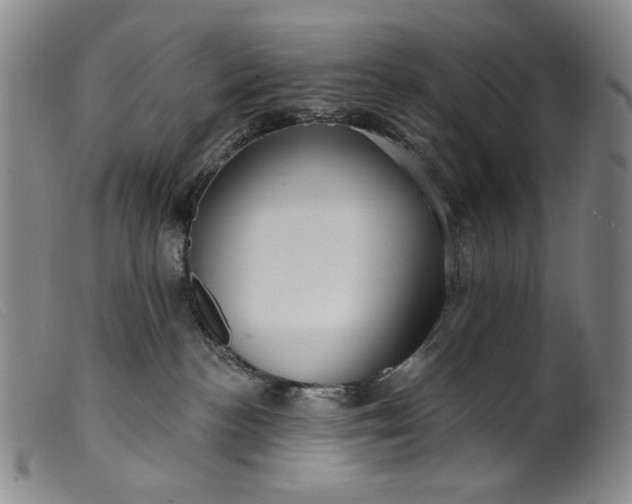 X0000099420188200805231638
