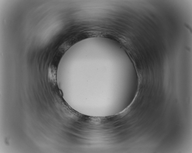X0000099420190200805231638