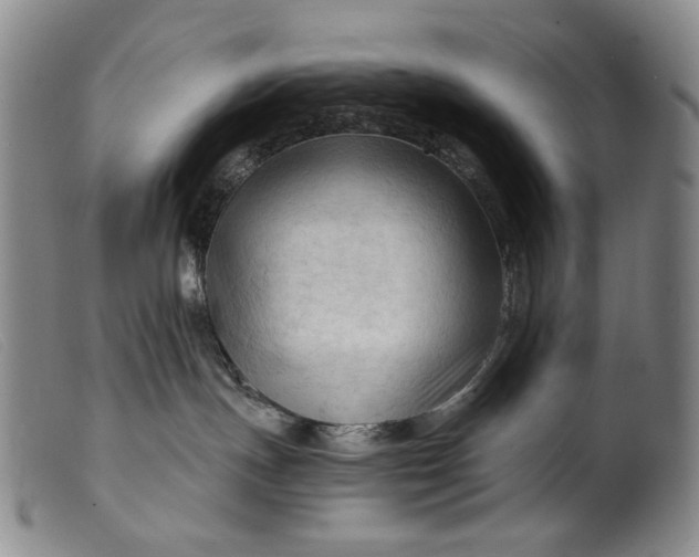 X0000099420191200805231638