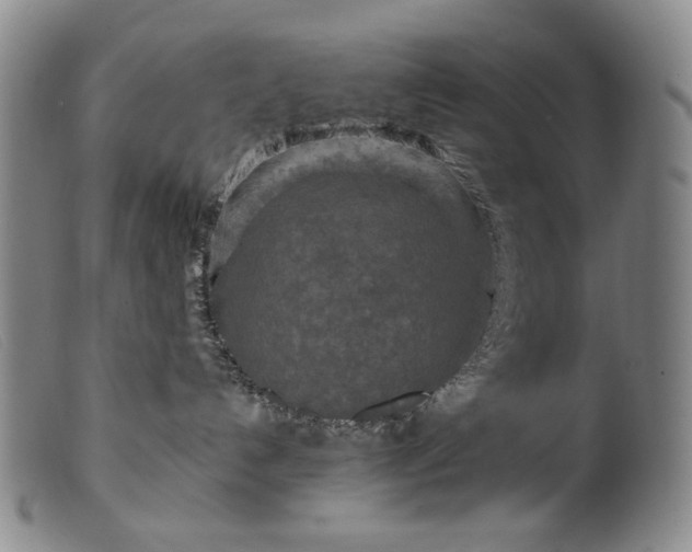 X0000099420192200805231638