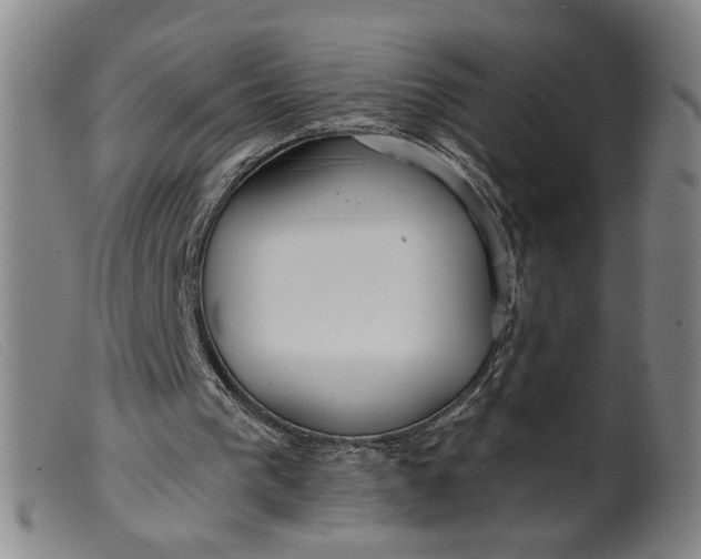 X0000099420193200805231637