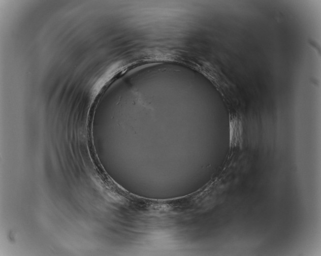 X0000099420195200805231637