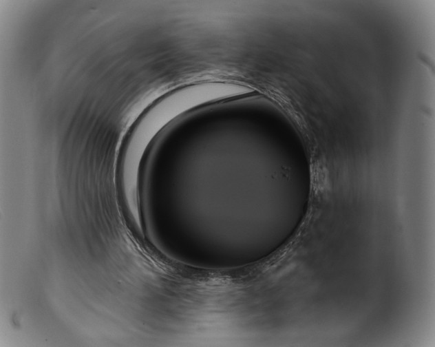 X0000099420196200805231637