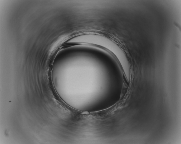 X0000099420197200805231637