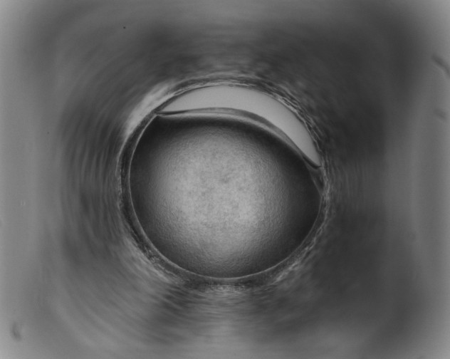 X0000099420198200805231637