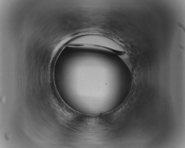 X0000099420200200805231637