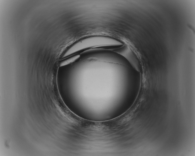 X0000099420201200805231637