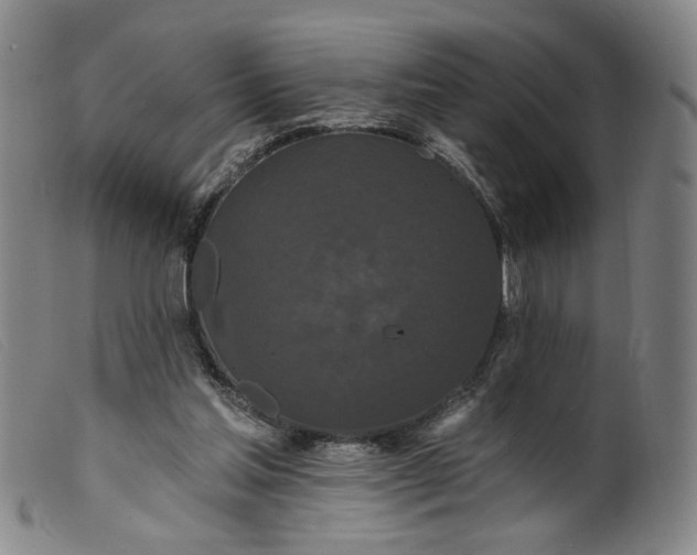 X0000099420205200805231637