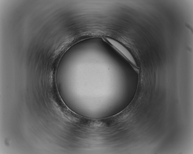 X0000099420206200805231637