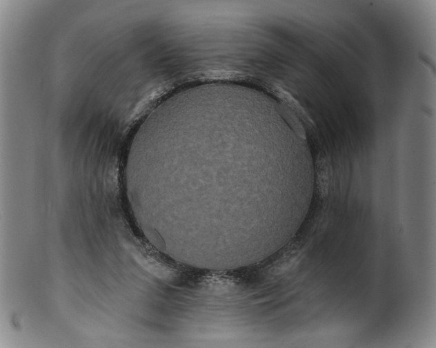 X0000099420207200805231637