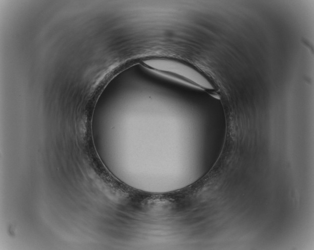 X0000099420208200805231637