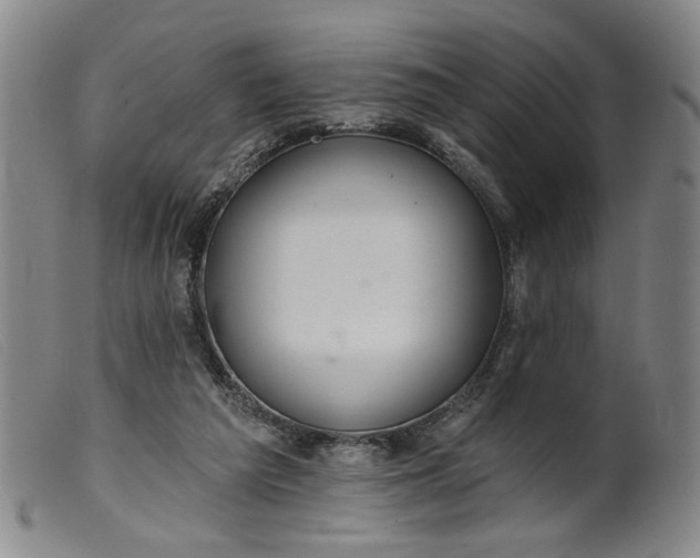 X0000099420209200805231637