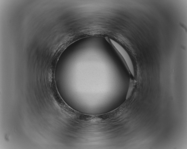 X0000099420210200805231637