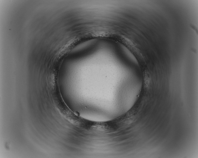 X0000099420211200805231637