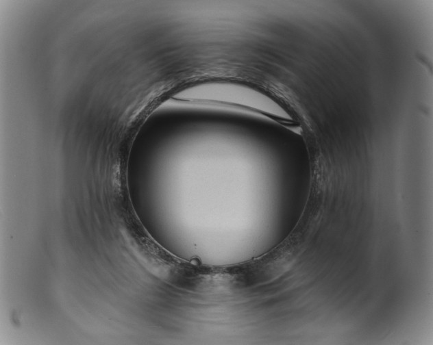 X0000099420212200805231637